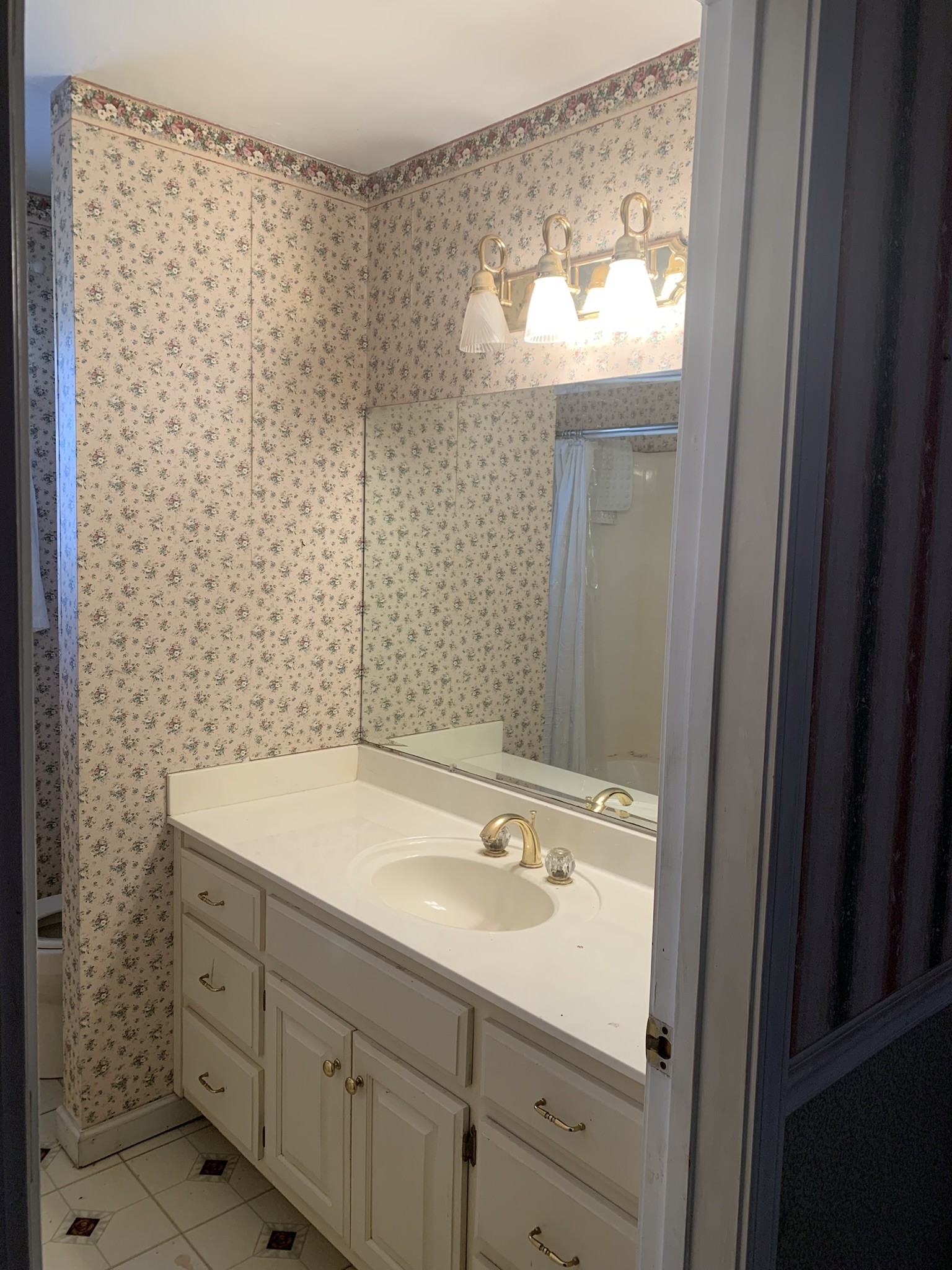 454 Canoe Branch Road Castalian Springs, TN 37031 - Photo 3 of 40 a bathroom with a sink and a mirror