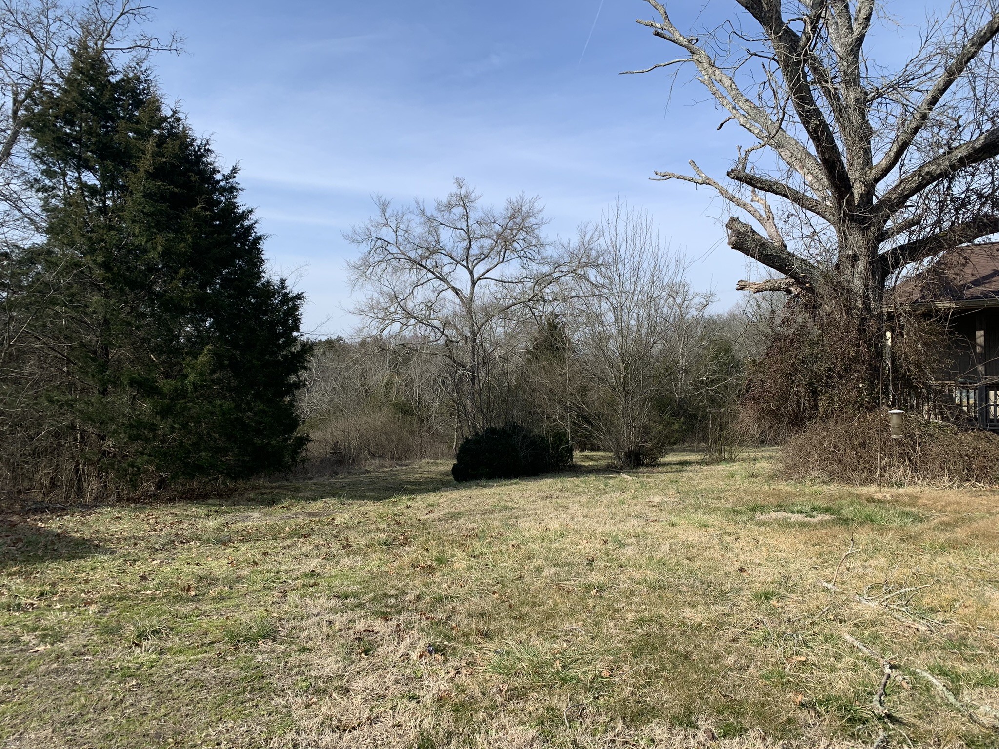 454 Canoe Branch Road Castalian Springs, TN 37031 - Photo 33 of 40 a view of a yard