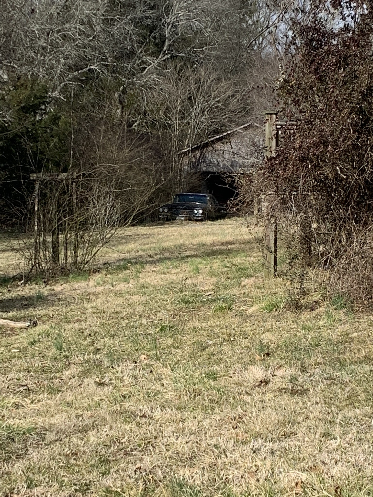 454 Canoe Branch Road Castalian Springs, TN 37031 - Photo 35 of 40 a view of ocean