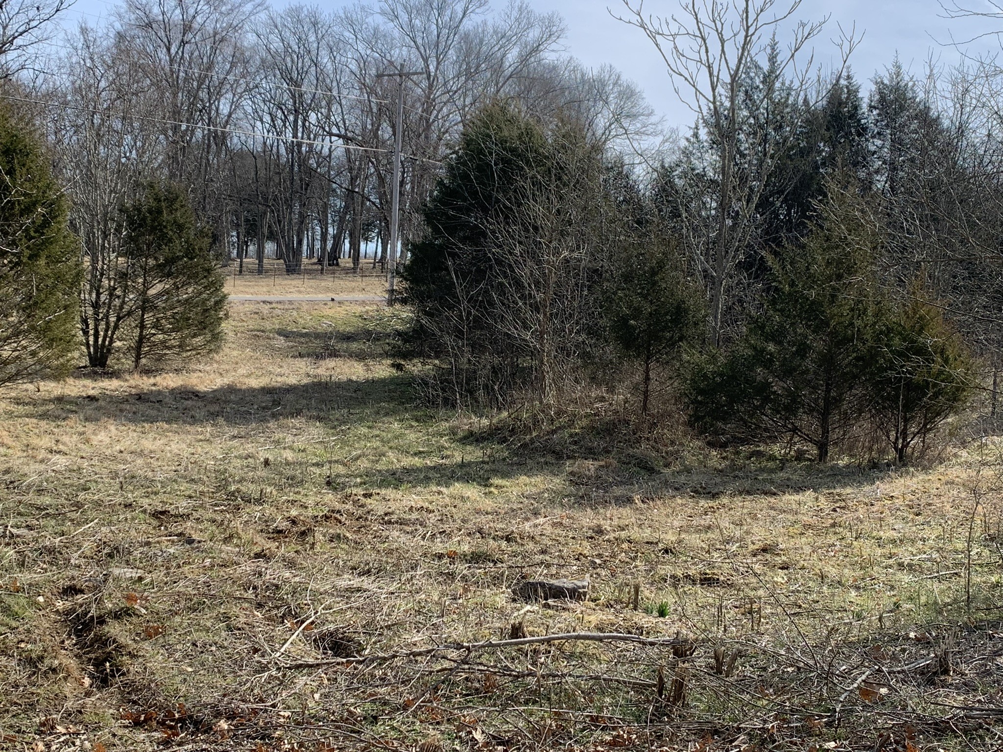 454 Canoe Branch Road Castalian Springs, TN 37031 - Photo 37 of 40 a view of path along with trees