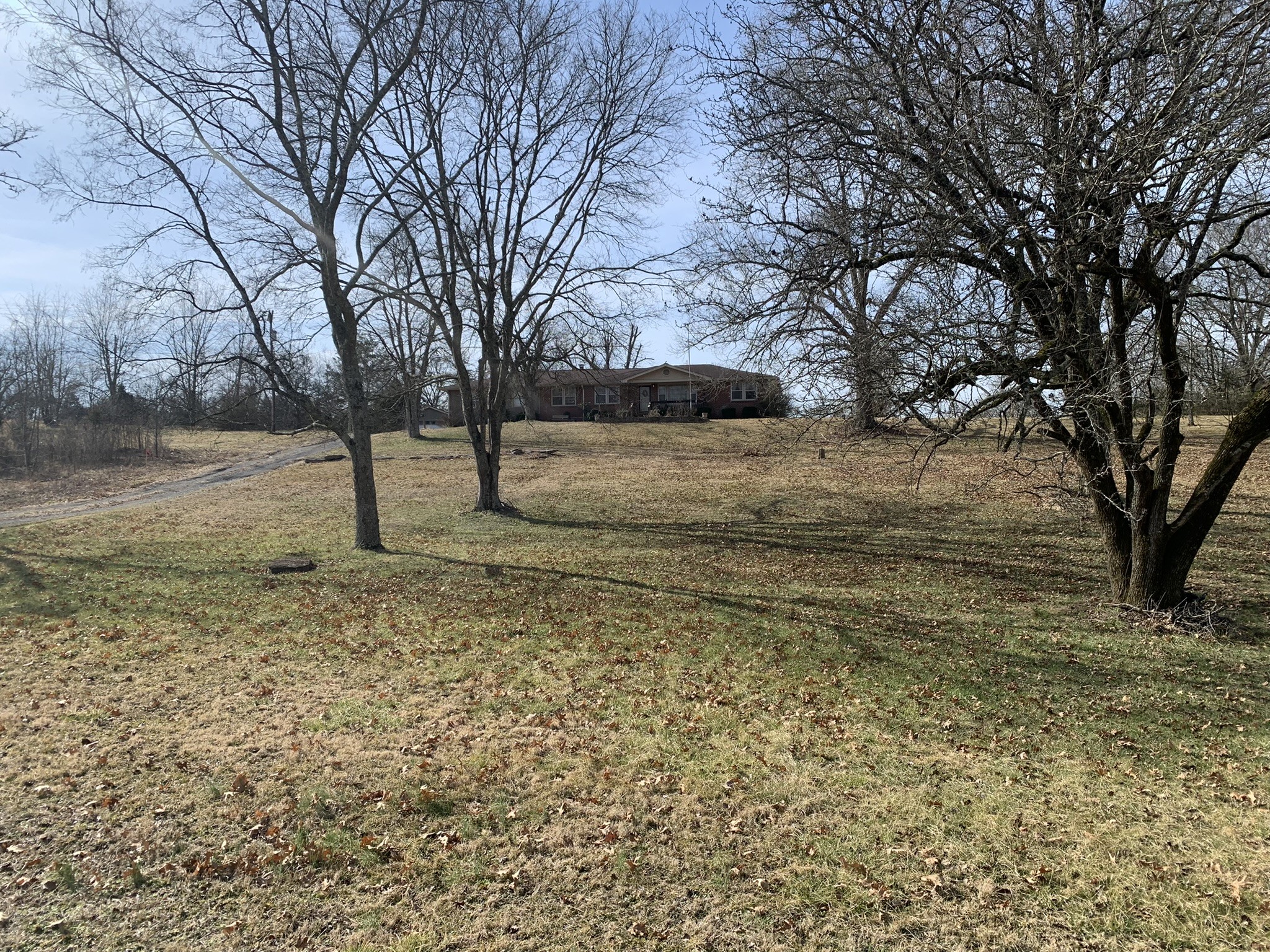 454 Canoe Branch Road Castalian Springs, TN 37031 - Photo 38 of 40 a view of yard covered with snow in front of house