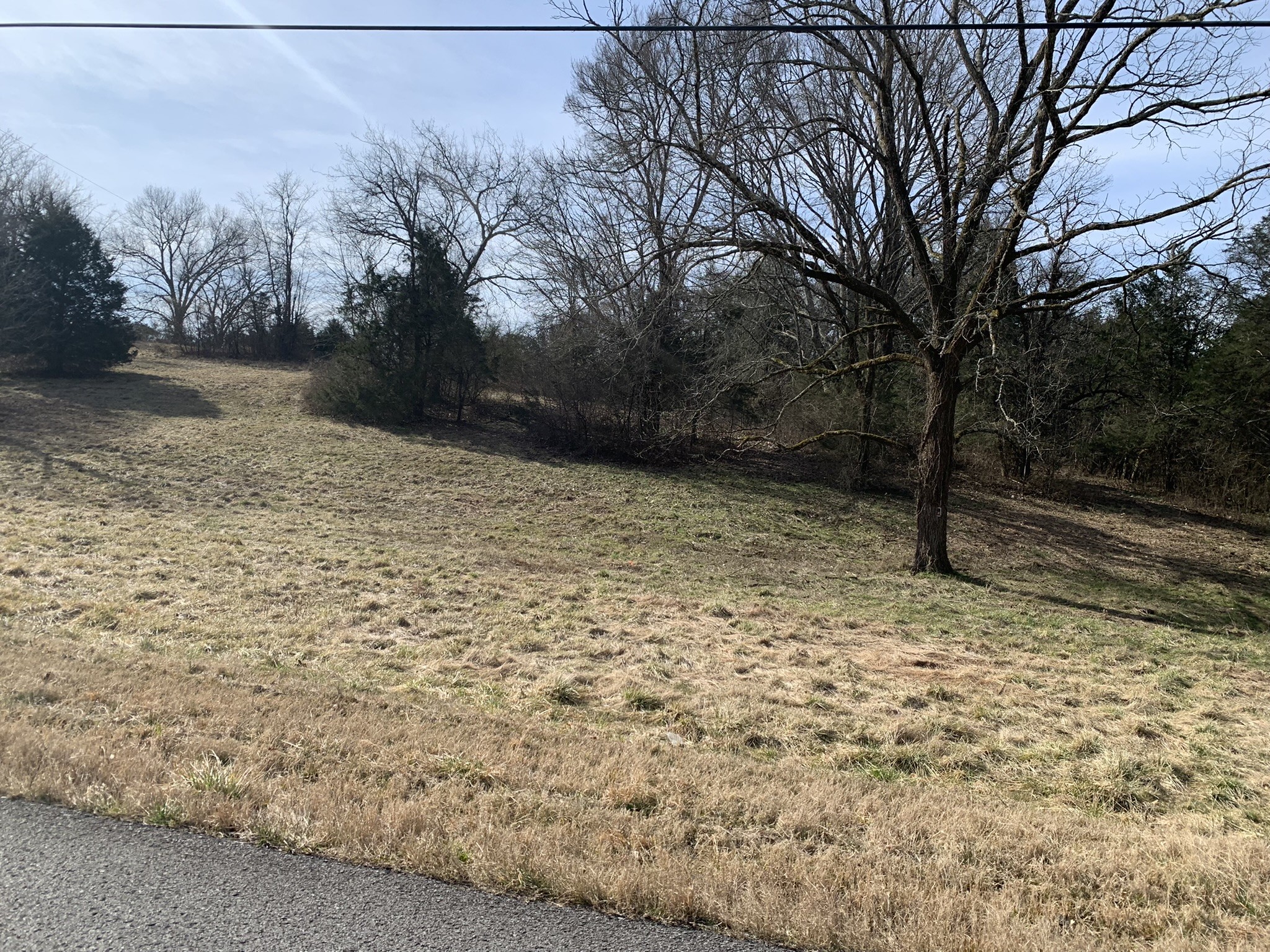 454 Canoe Branch Road Castalian Springs, TN 37031 - Photo 40 of 40 a view of empty space with trees