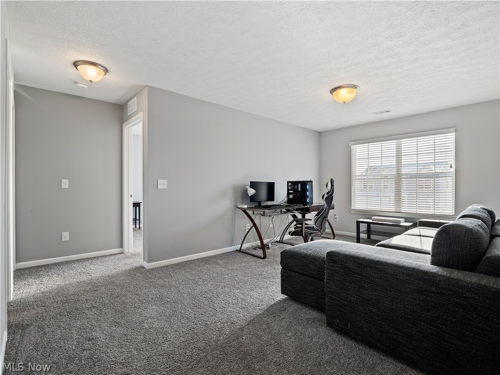 37400 Sandy Ridge Drive North Ridgeville, OH 44039 - Photo 23 of 35