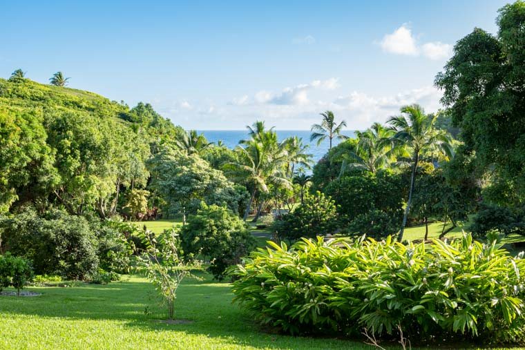 707 Puniawa Road Haiku, HI 96708 - Photo 17 of 30