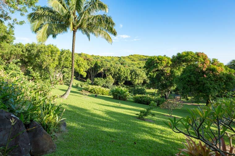 707 Puniawa Road Haiku, HI 96708 - Photo 19 of 30