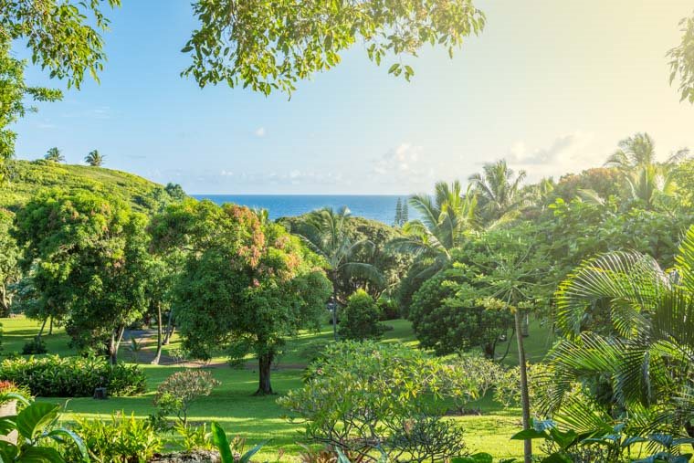 707 Puniawa Road Haiku, HI 96708 - Photo 20 of 30