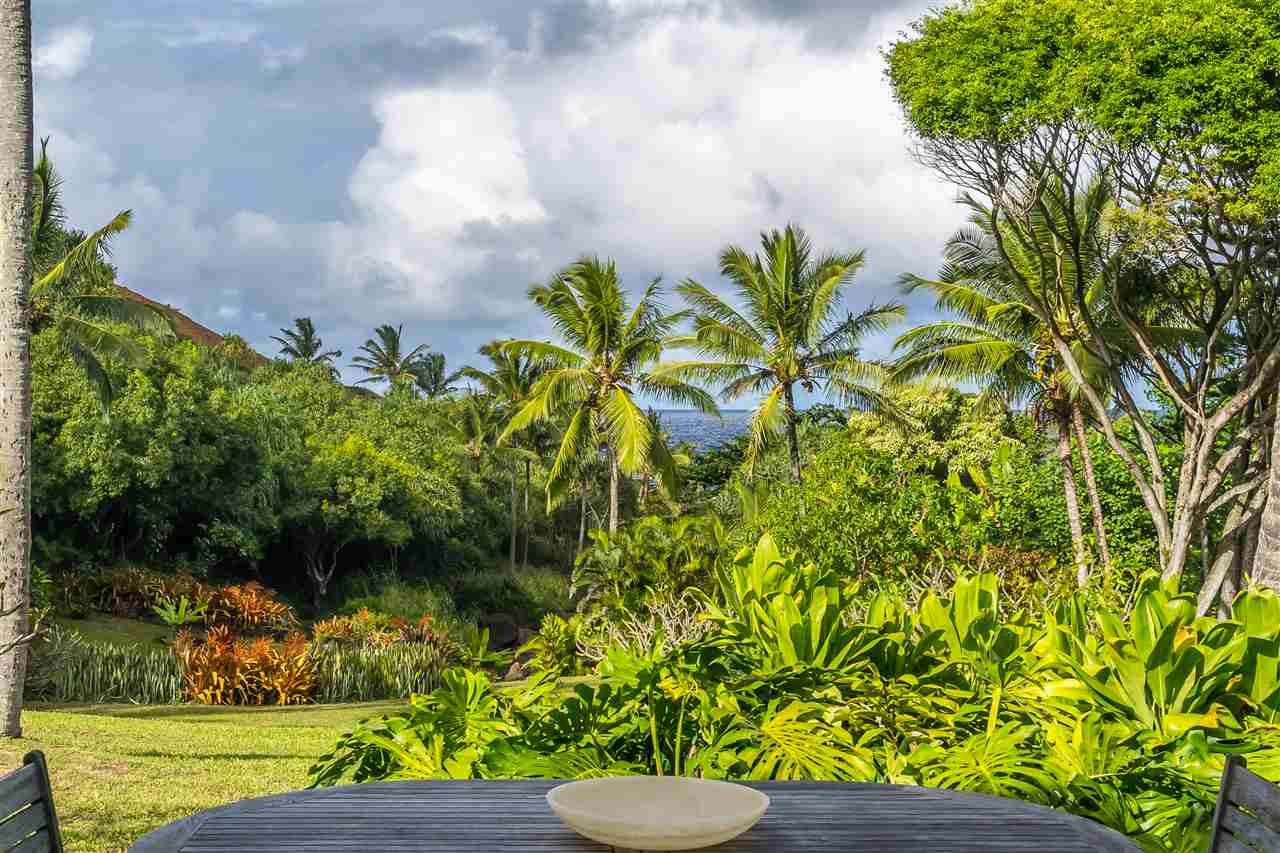 707 Puniawa Road Haiku, HI 96708 - Photo 27 of 30