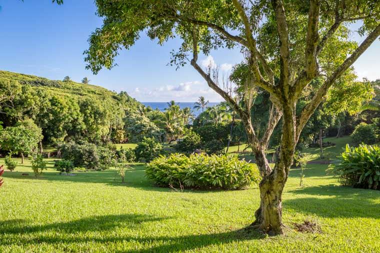 707 Puniawa Road Haiku, HI 96708 - Photo 4 of 30