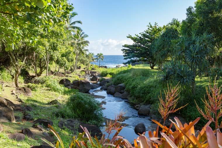 707 Puniawa Road Haiku, HI 96708 - Photo 6 of 30