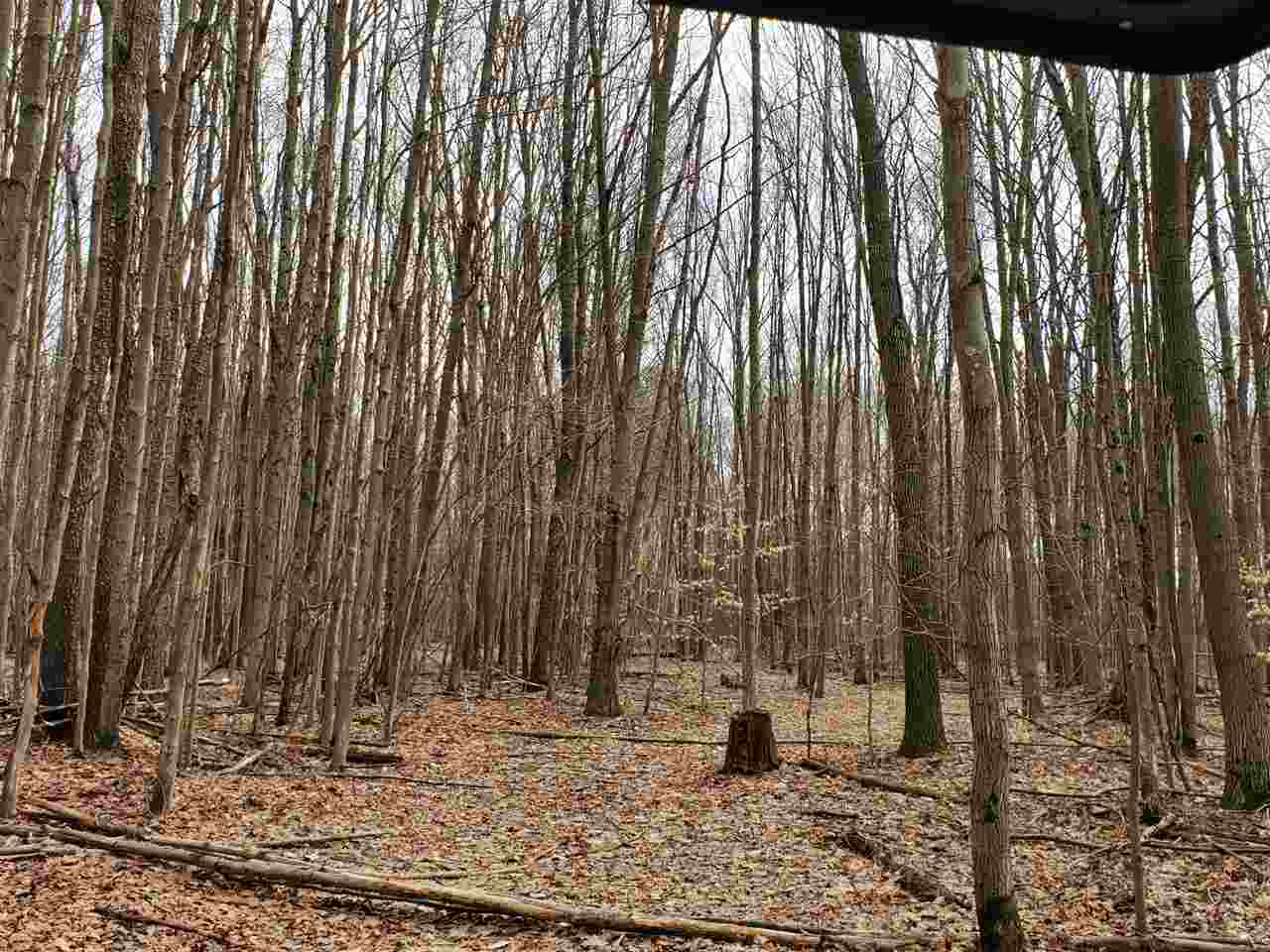 12262 Kerry Road Brethren, MI 49619 - Photo 77 of 95 1885414-76.JPG