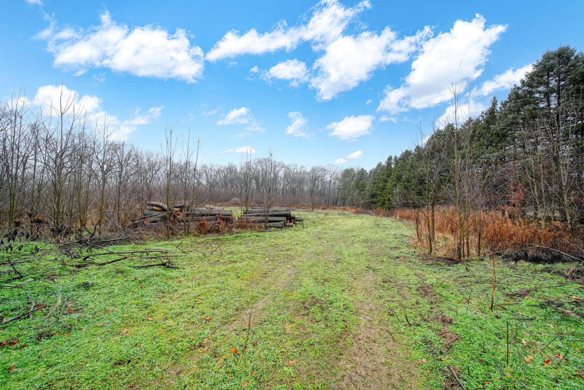 6700 Bennett Road Jackson, MI 49201 - Photo 32 of 47 32