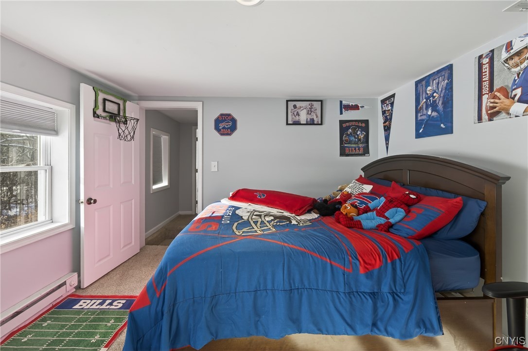 395 Furniss Station Road Oswego, NY 13126 - Photo 30 of 50