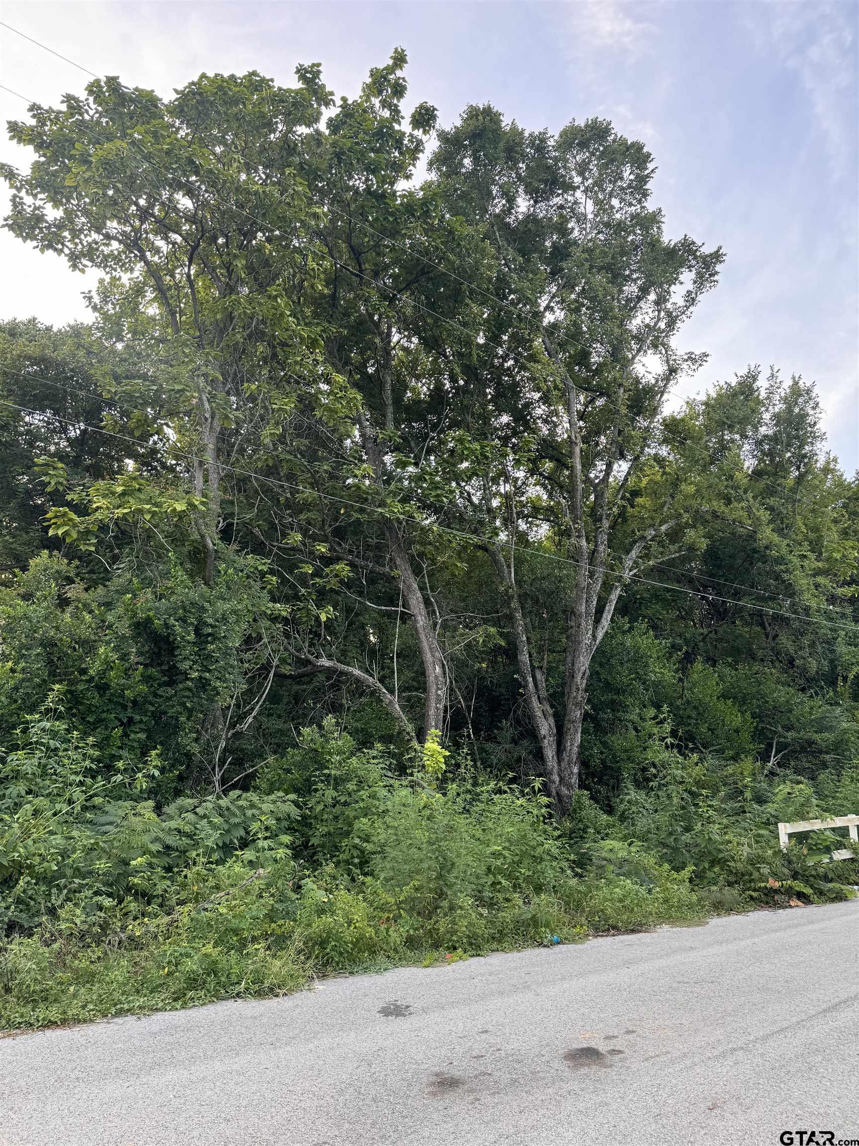 809-815 Boyd Avenue Tyler, TX 75701 - Photo 3 of 4 a view of a forest with trees in front of it