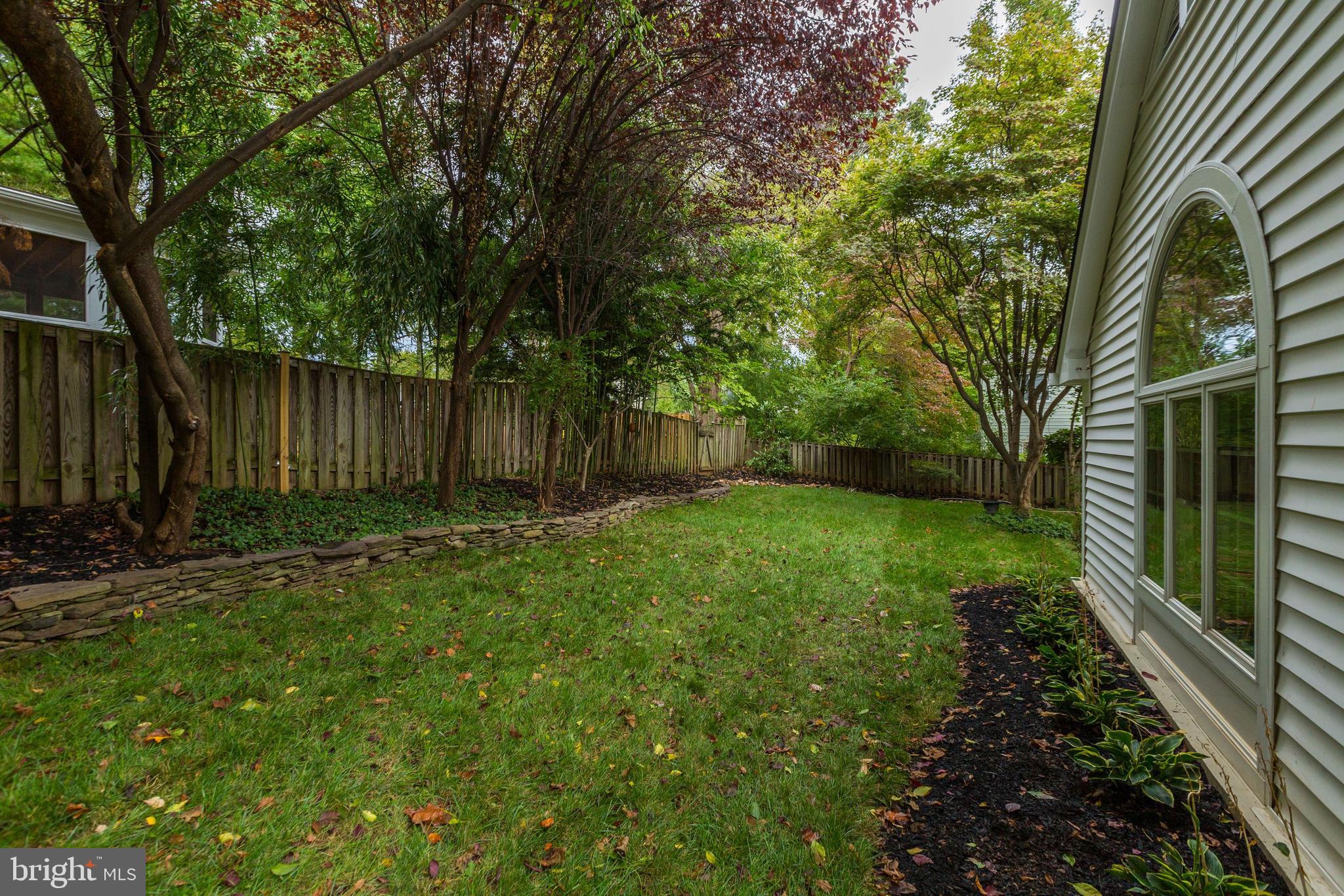 8002 Custer Road Bethesda, MD 20814 - Photo 32 of 32 Mature trees and grassy backyard