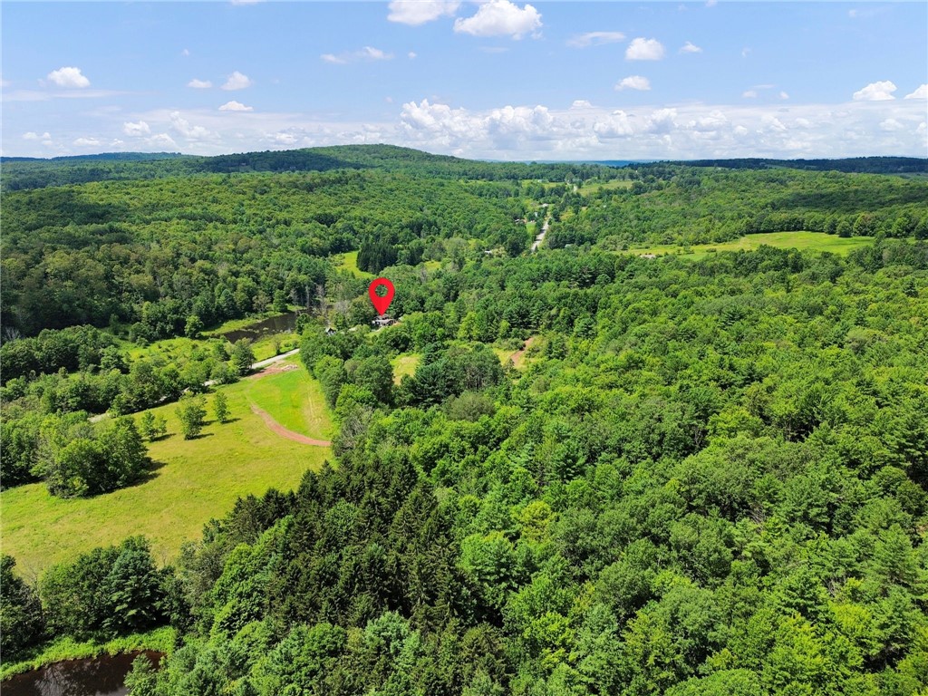 500 Ben McCumber Road Unadilla, NY 13849 - Photo 38 of 39