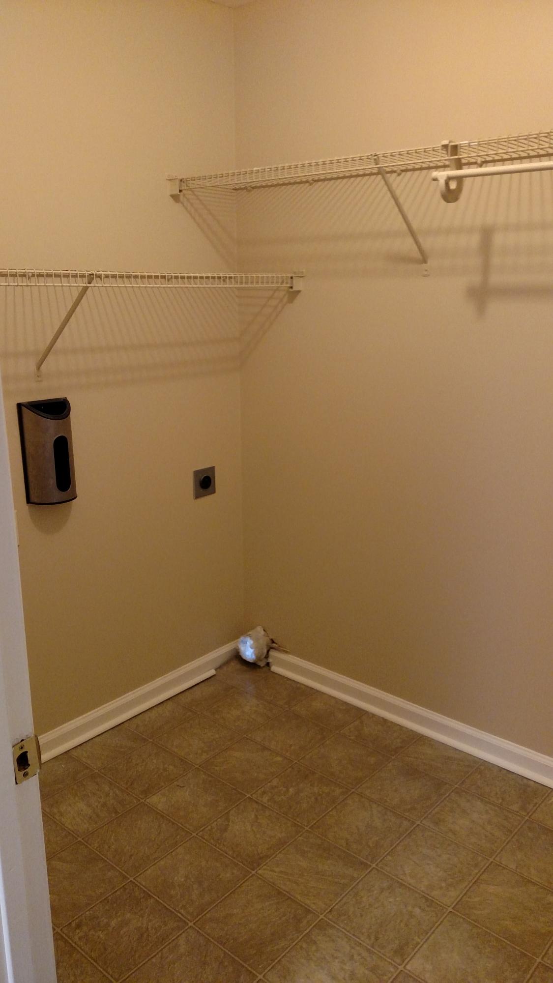 244 Ridge Street Ringgold, GA 30736 - Photo 9 of 13 IMG_20151014_160408342