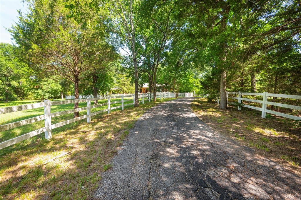 10289 County Road 578 Blue Ridge, TX 75424 - Photo 2 of 39 a view of a park with large trees