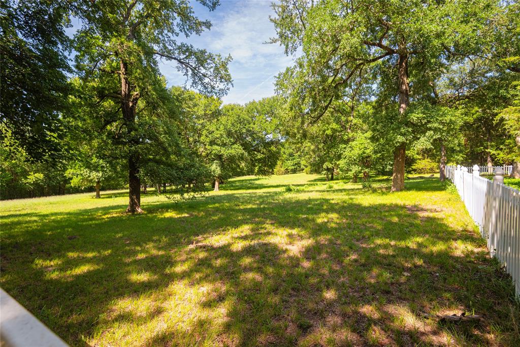 10289 County Road 578 Blue Ridge, TX 75424 - Photo 34 of 39 a view of yard with trees