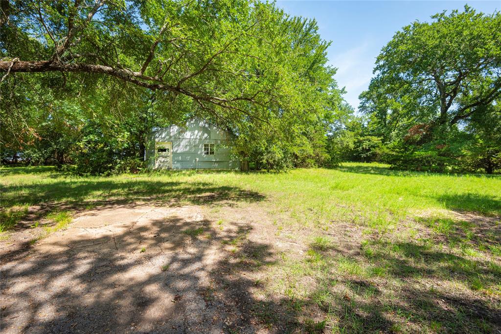 10289 County Road 578 Blue Ridge, TX 75424 - Photo 36 of 39 a view of a trees with a yard