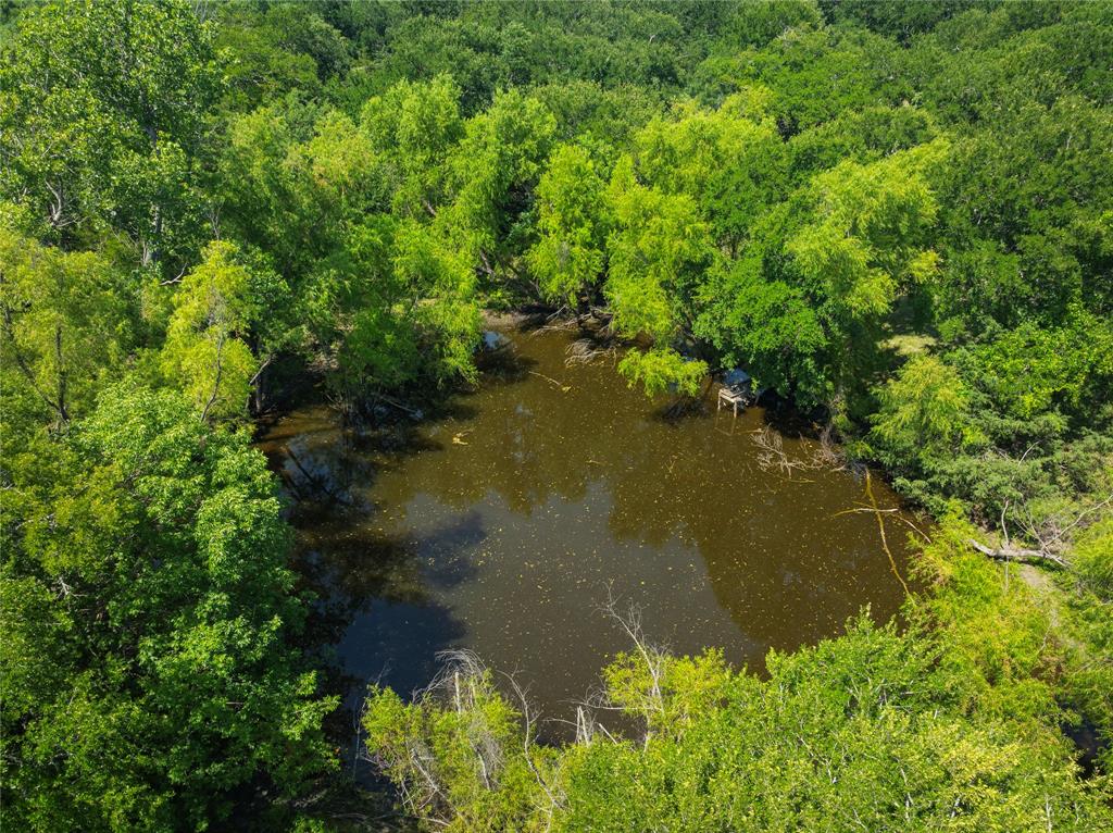 10289 County Road 578 Blue Ridge, TX 75424 - Photo 4 of 39 a view of a lake