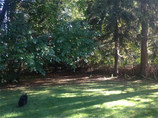 34 Lafayette Road Newton, MA 02462 - Photo 23 of 25