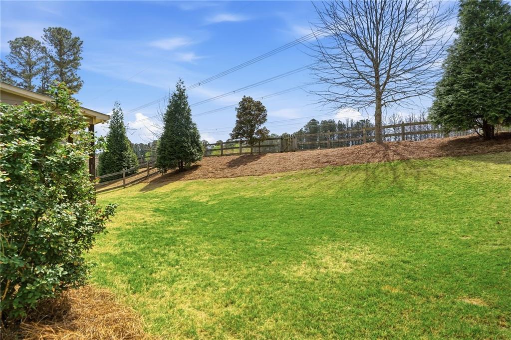 266 Cobblestone Trail Dallas, GA 30132 - Photo 48 of 49 a view of a yard with a tree