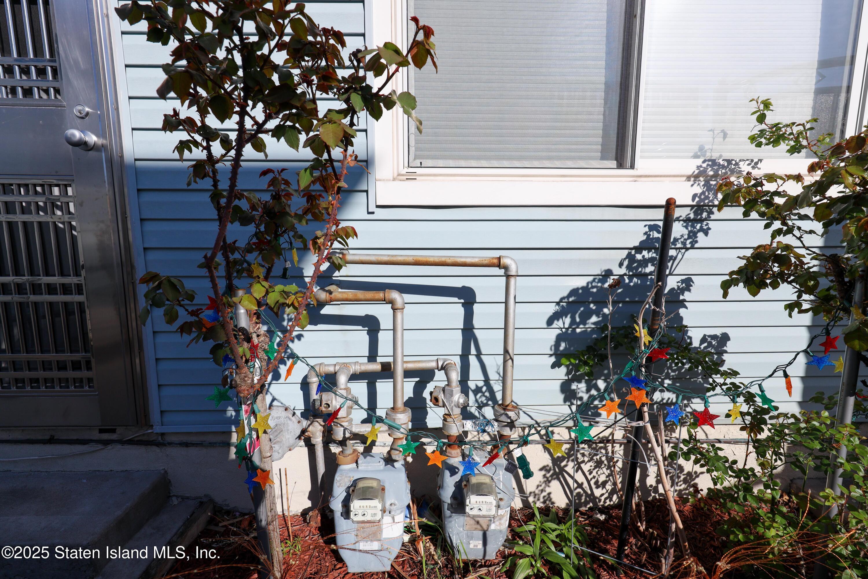 268 Ada Drive Staten Island, NY 10314 - Photo 27 of 27 a picture of flowers