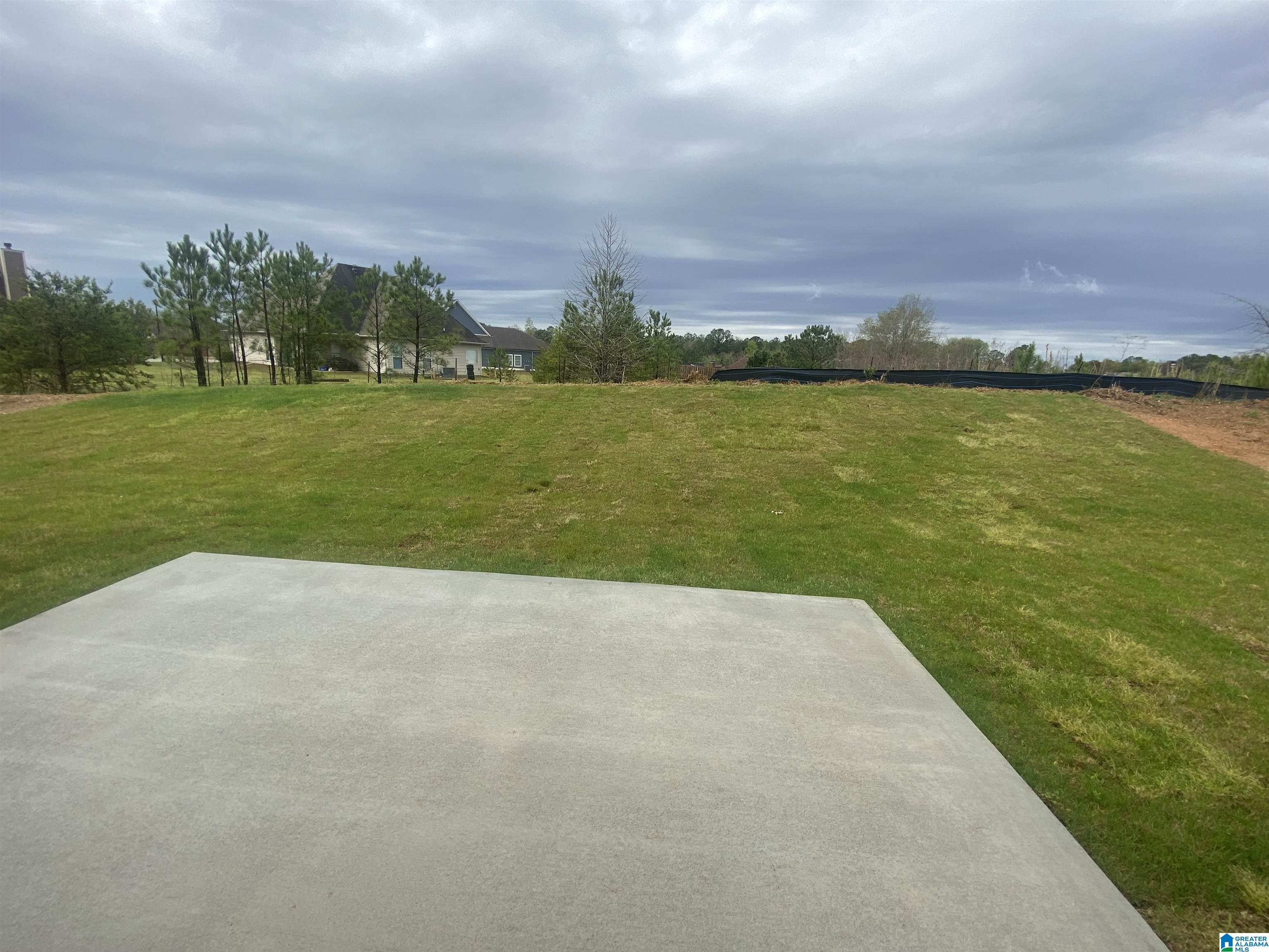 2040 Turquoise Lane Calera, AL 35040 - Photo 21 of 26