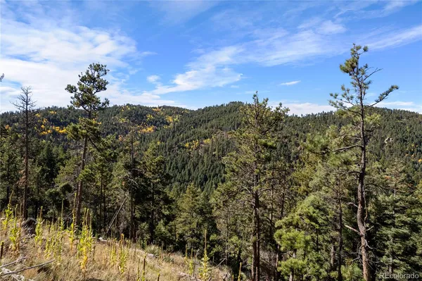 a view of a bunch of trees