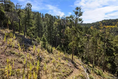 a view of a yard with a tree