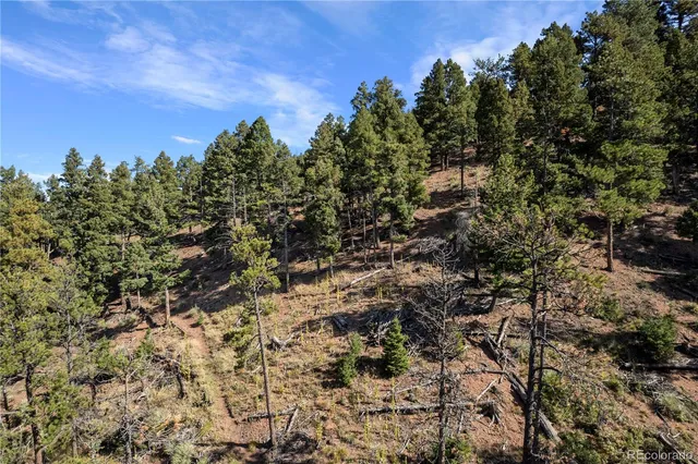 a view of a city with lush green forest