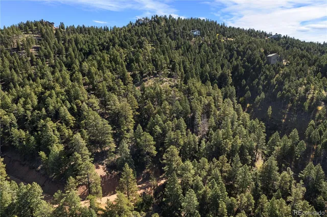 a view of a city with lush green forest