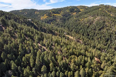 a view of a city with lush green forest