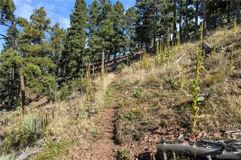 a view of residential area with green space