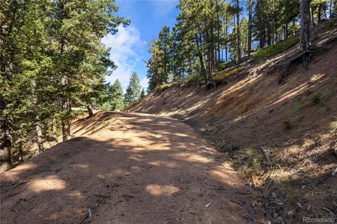 a view of road with large trees