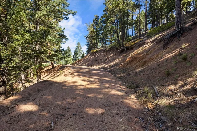 a view of road with large trees