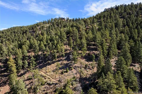 a view of a large yard with lots of bushes