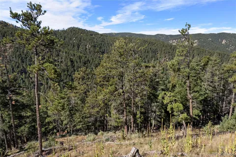 a view of a forest with mountains in the background
