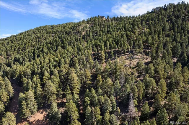 a view of a green field