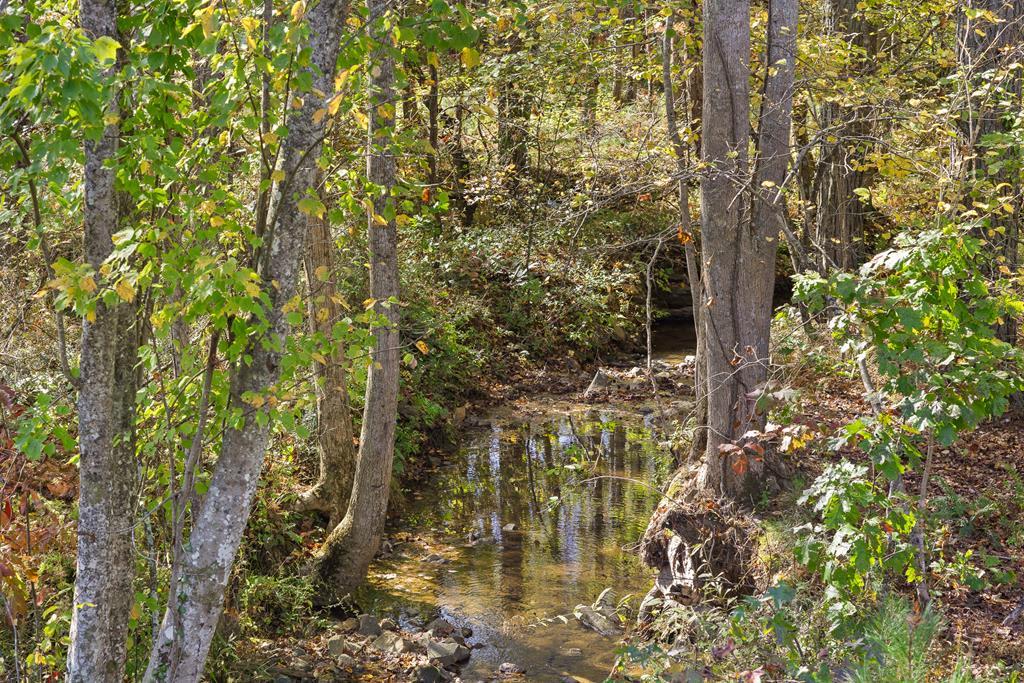 Lot 334 Twisted Oak Road Talking Rock, GA 30175 - Photo 1 of 26 Main View