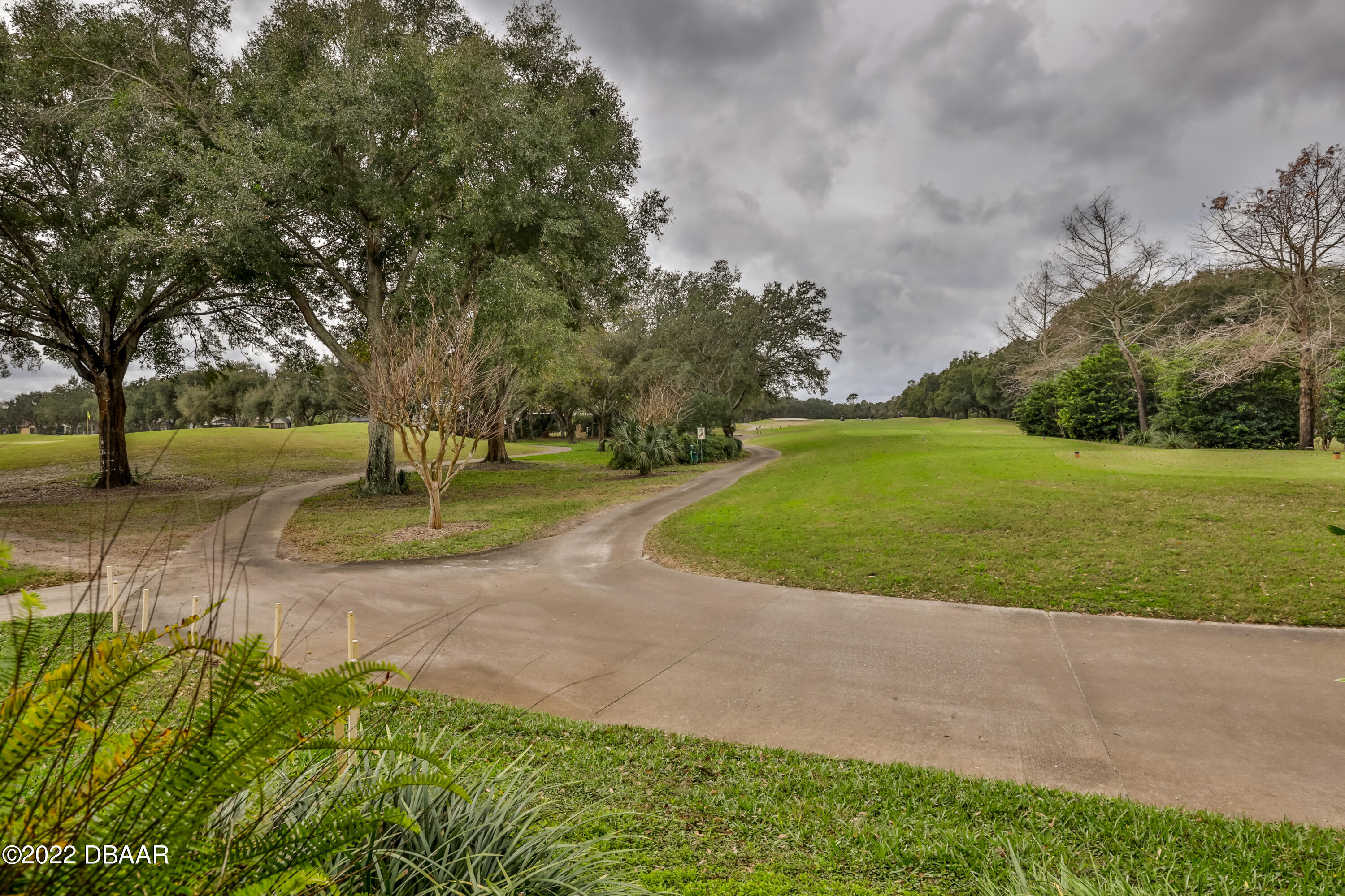 1464 Kinnard Circle Ormond Beach, FL 32174 - Photo 12 of 18 a view of a park with large trees