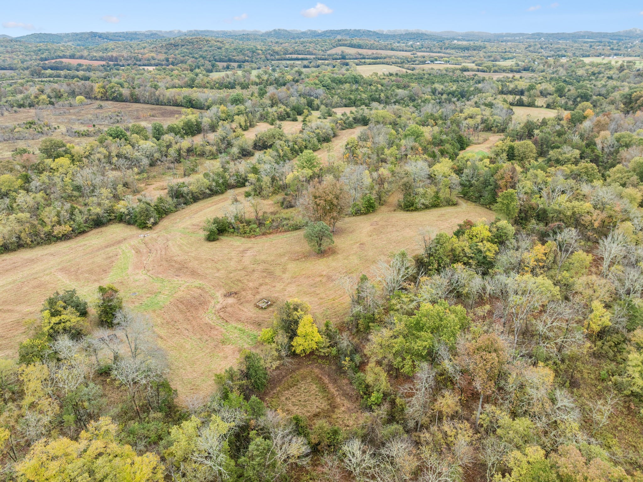 0 Coop Road Bell Buckle, TN 37020 - Photo 14 of 19