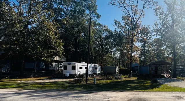 a view of a park with large trees