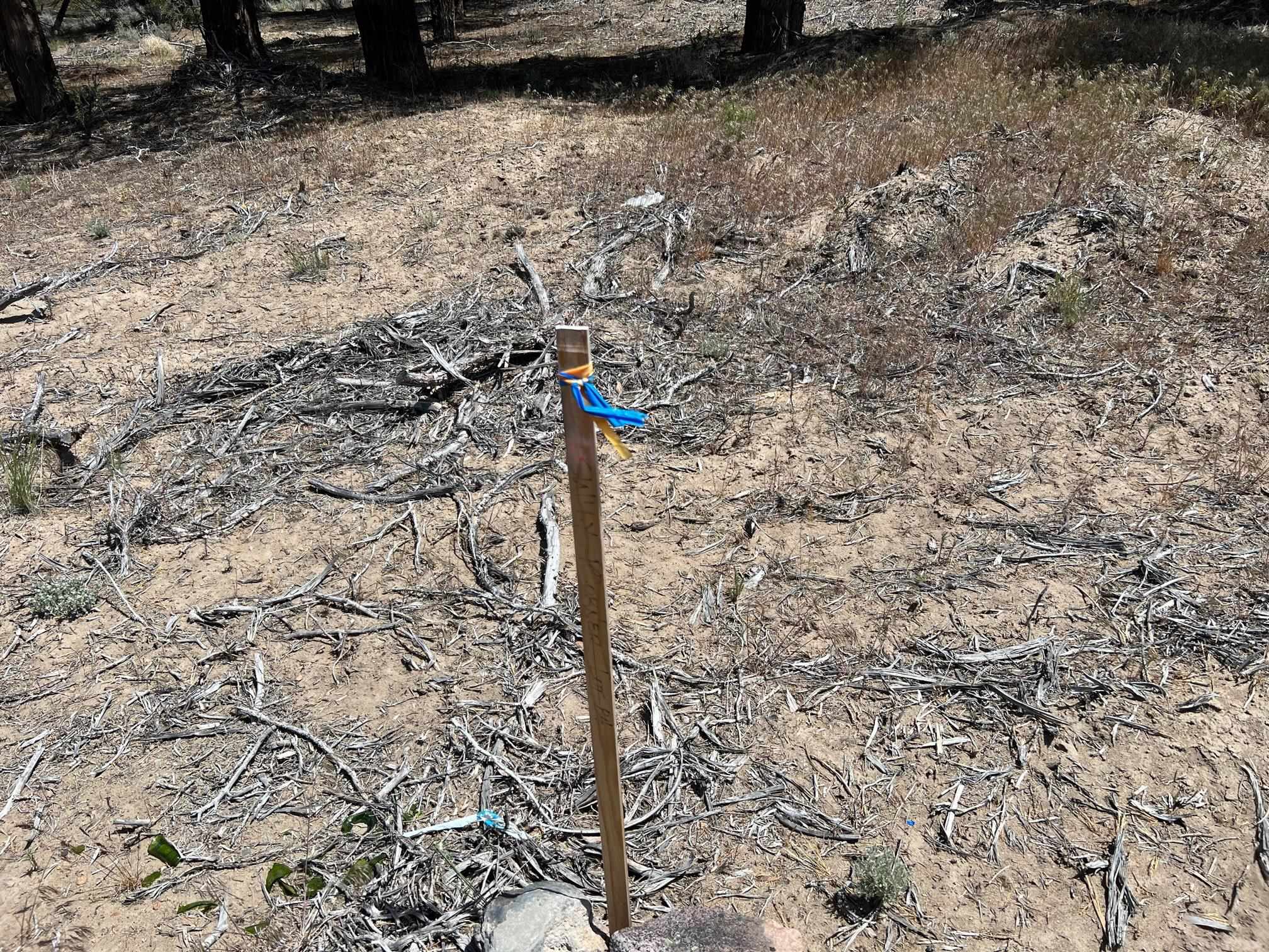 85 Big Springs Road Weed, CA 96094 - Photo 7 of 10 Gallery Image 7