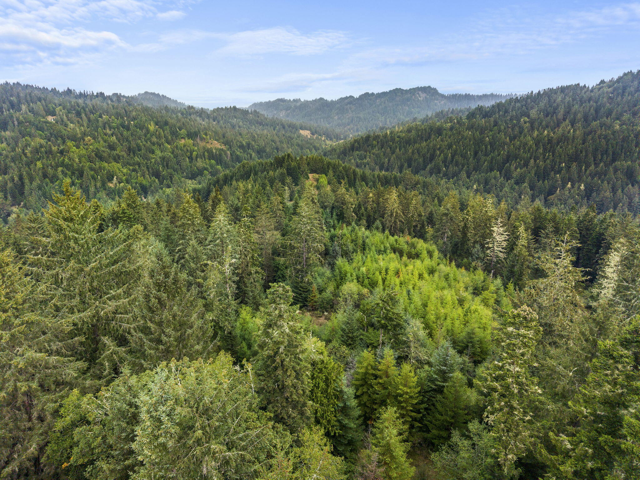 0 Williams Creek Road Ferndale, CA 95536 - Photo 13 of 13