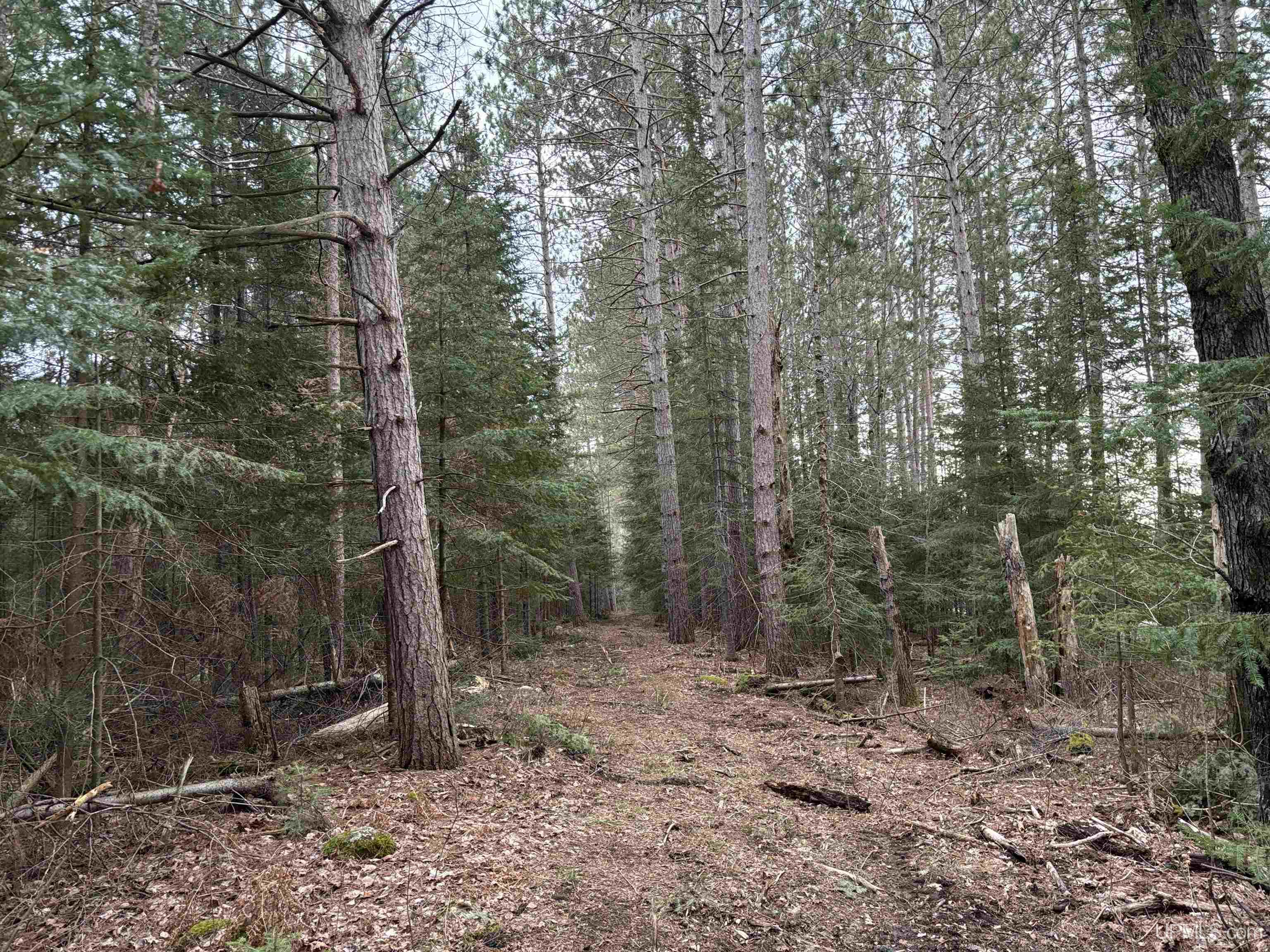 4480 W Sand Rock Road Hurley, WI 54534 - Photo 30 of 57