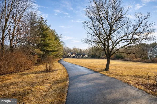 a view of yard space with trees