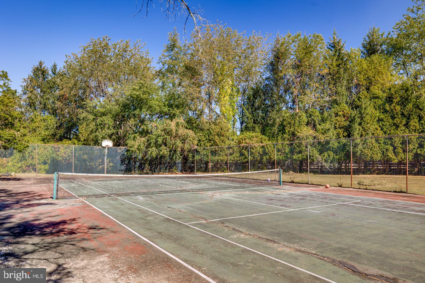 740 Garwood Road Moorestown, NJ 08057 - Photo 33 of 41 Secluded tennis court amidst lush greenery.