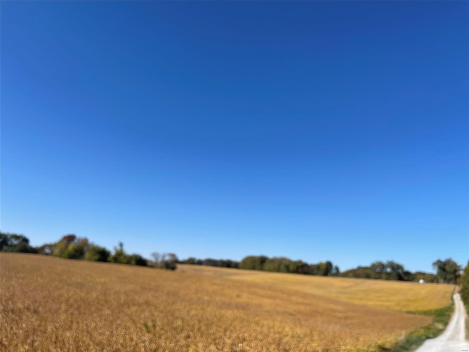 8706 Lakeview Hill Millstadt, IL 62260 - Photo 11 of 27