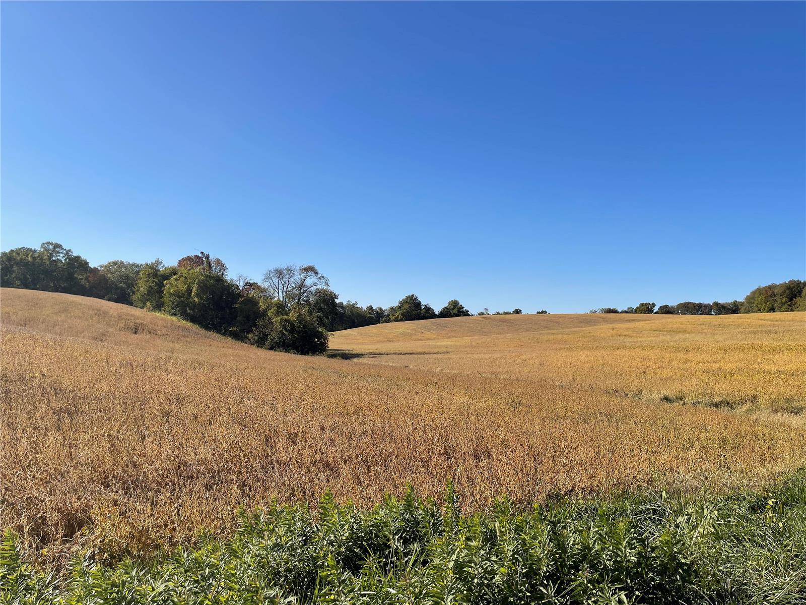 8706 Lakeview Hill Millstadt, IL 62260 - Photo 12 of 27